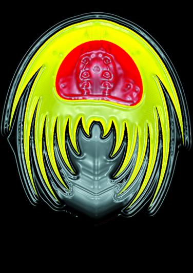 C8 Fantasmo (hergestellt mit MAC - Illustrator & Photoshop)