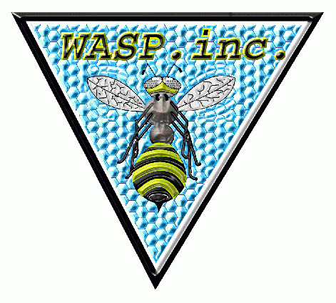 C13 Wasp.inc. (hergestellt mit MAC - Illustrator & Photoshop)